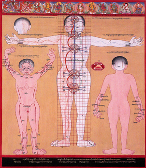 planche Anatomie des chakras tibétain